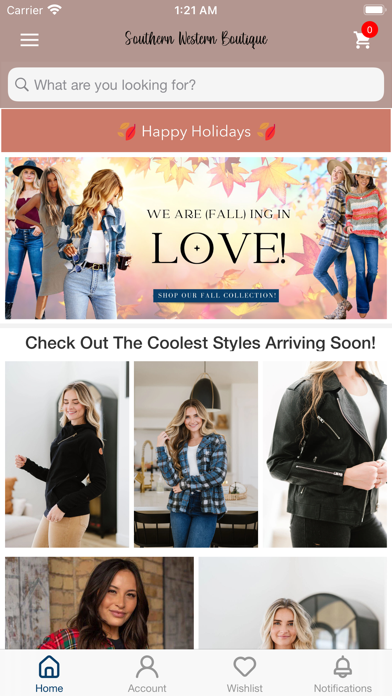 Southern Western Boutique Screenshot