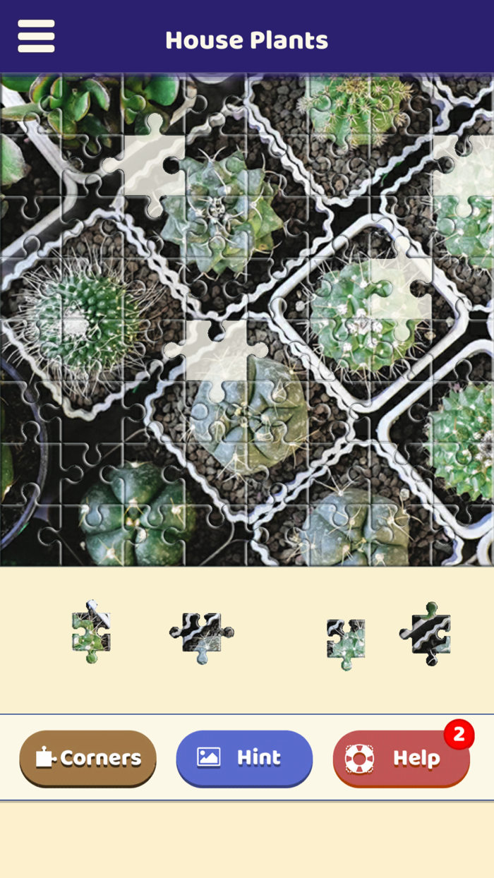 House Plants Puzzle