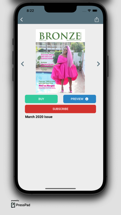 Bronze Mag magazine Screenshot