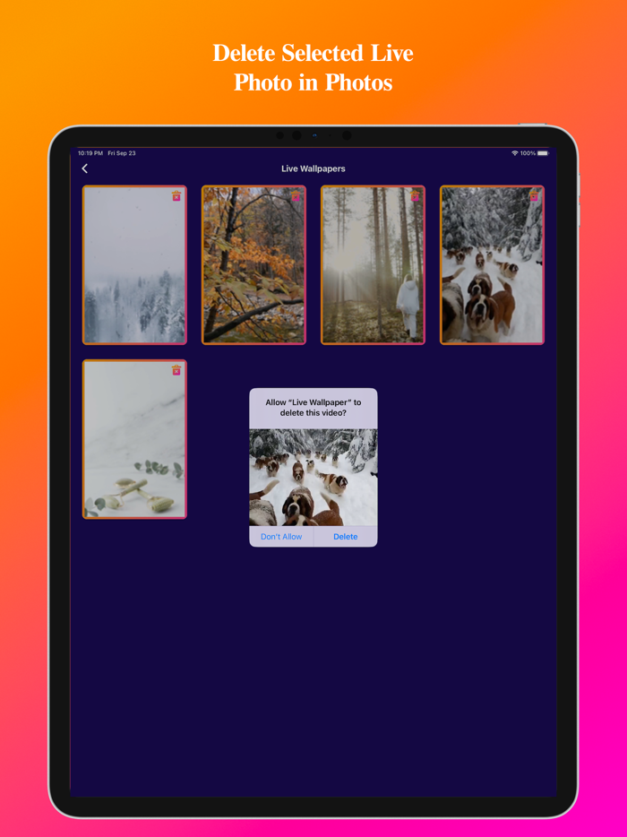 Video To Live Wallpapers