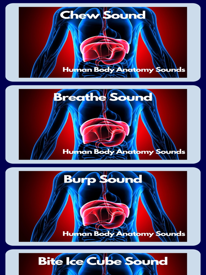 Human Body Anatomy Sounds