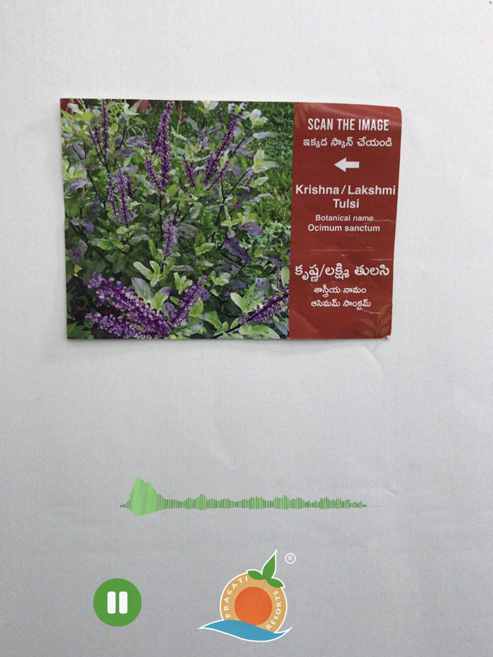 Pragati Resort Guide - English