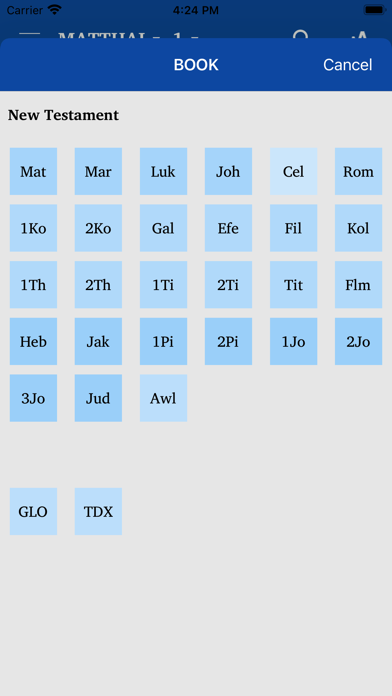 Chin Standard Bible Screenshot