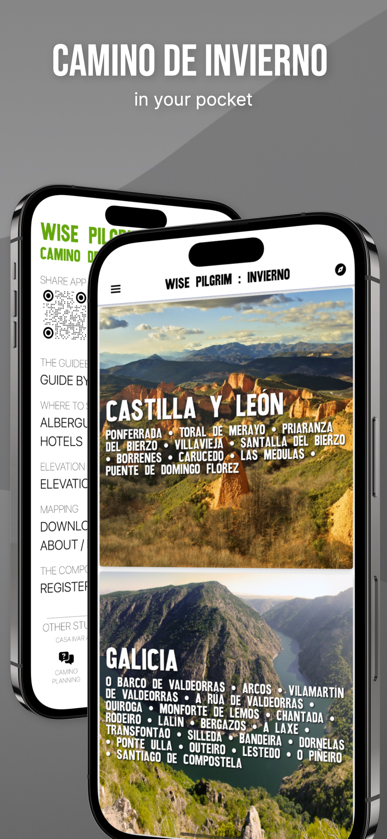 Wise Pilgrim Camino Invierno