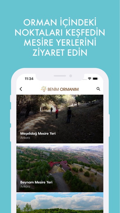 Benim Ormanım Screenshot