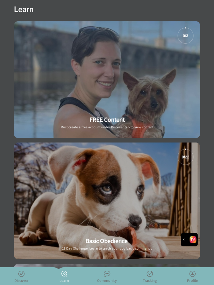 Pawsome Behavior Dog Training