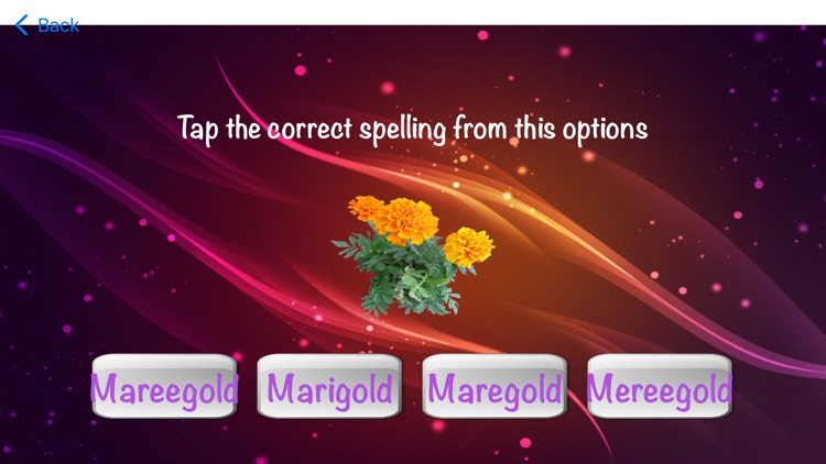 findCorrectSpell screenshot-3