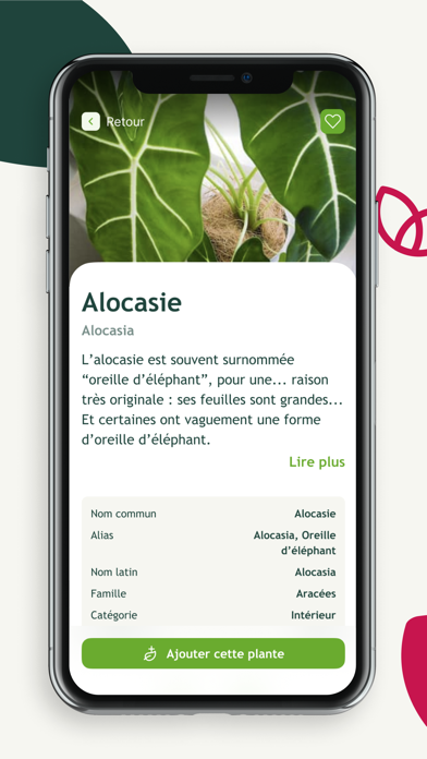 Groww by Willemse Screenshot