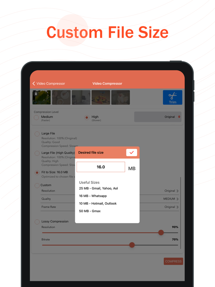 Video Compressor and Converter
