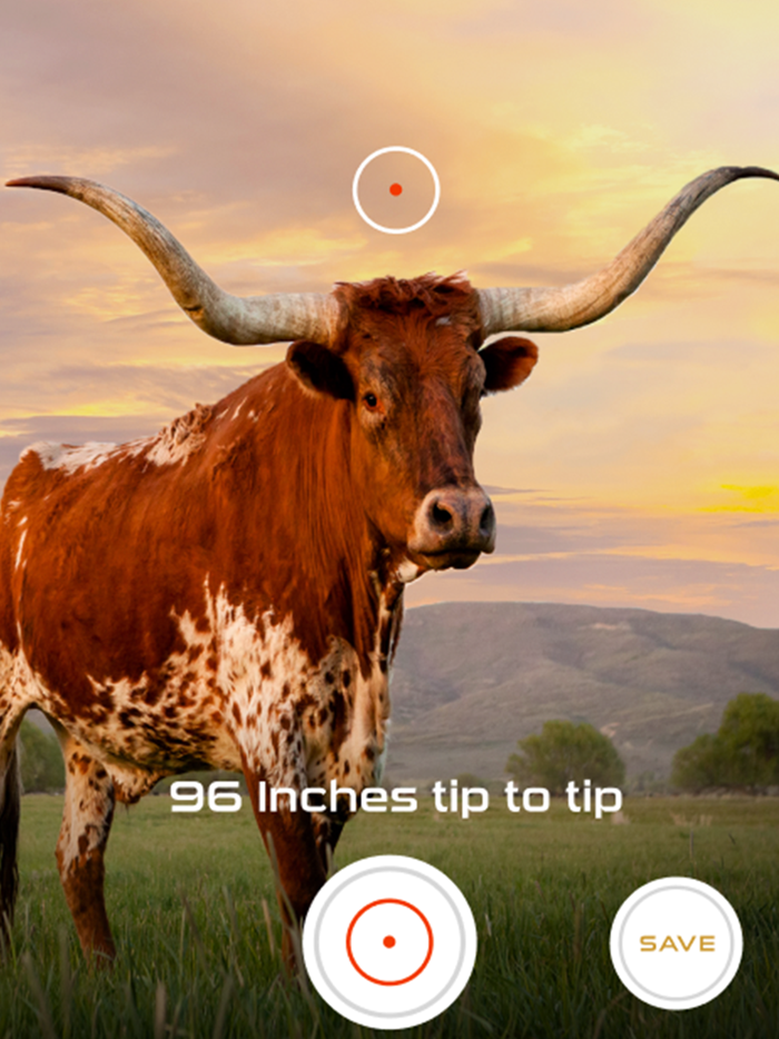 TTT Longhorn Tape Measure