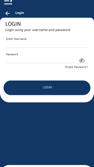 Lesha Bank Screenshot