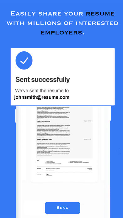 Resume & Curriculum vitae-PDF Screenshot