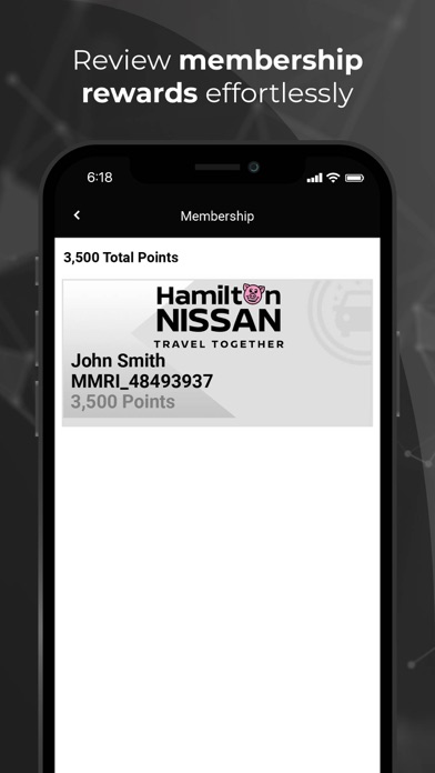 Hamilton Nissan Screenshot
