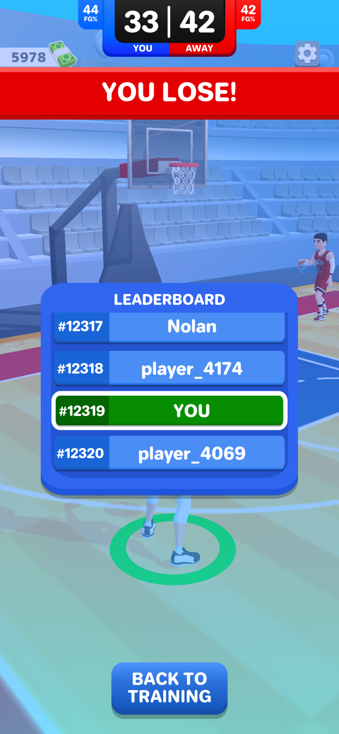 My Basketball Career