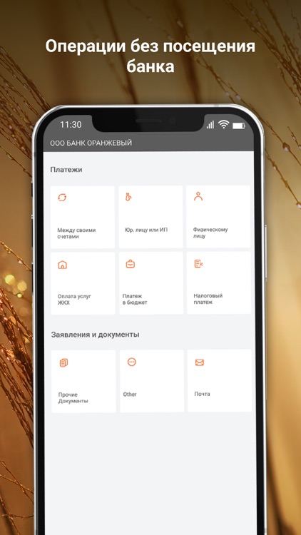 Оранжевый Бизнес