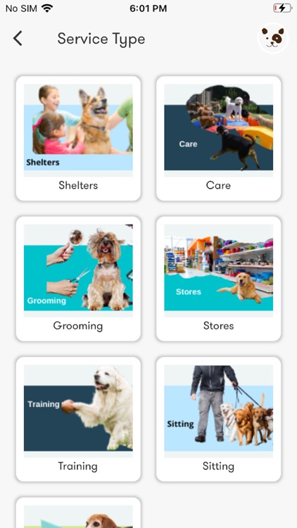 petBase screenshot-4