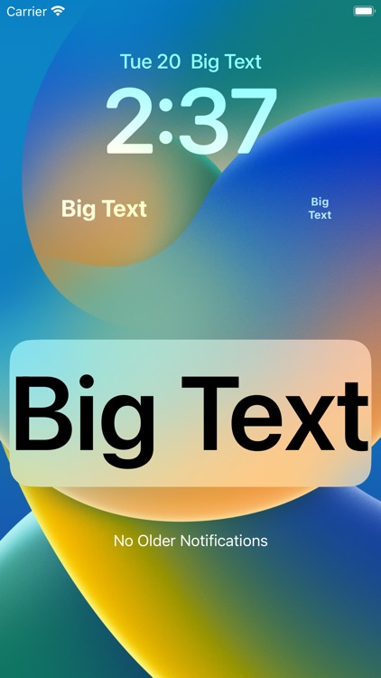 Large Text Widget - Big Text