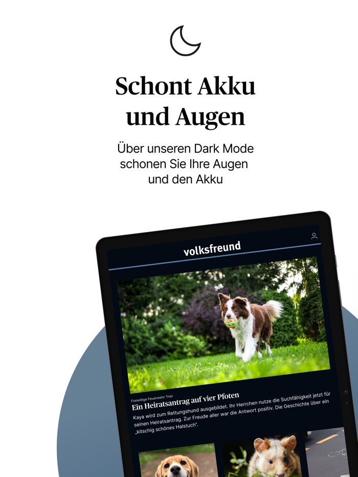 Trierischer Volksfreund