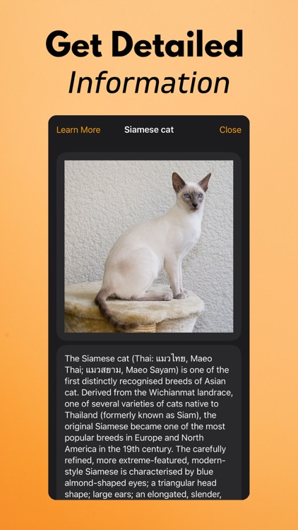 Cat Breed Identifier screenshot-5