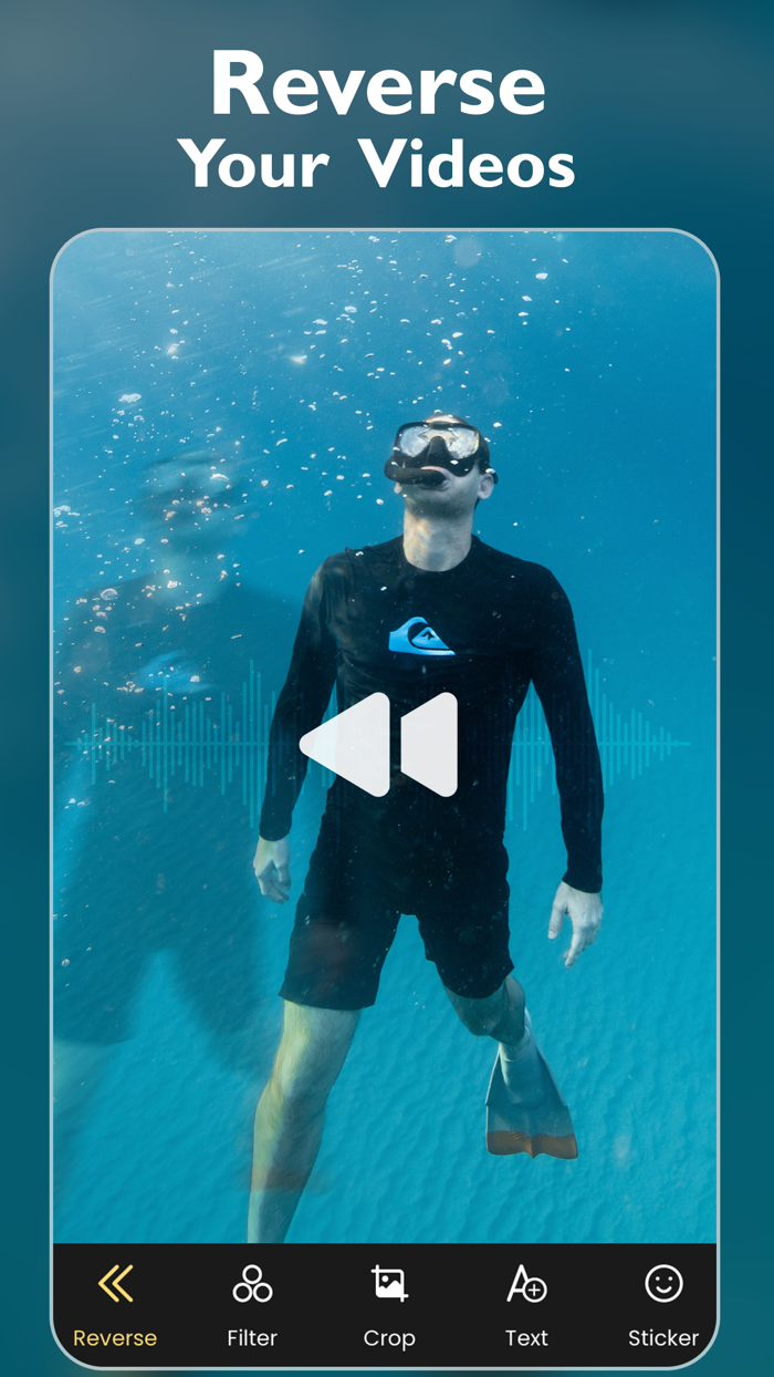 Reverse Video Play Movies