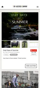 Top Livestock Auction screenshot #3 for iPhone