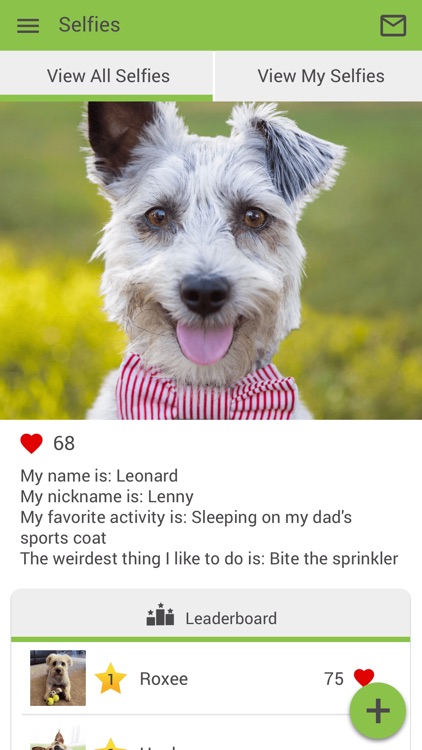 Spring Valley Vet East screenshot-3