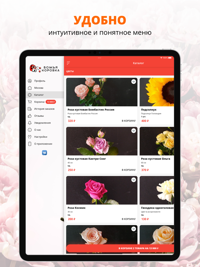 Студия Божья Коровка  Москва