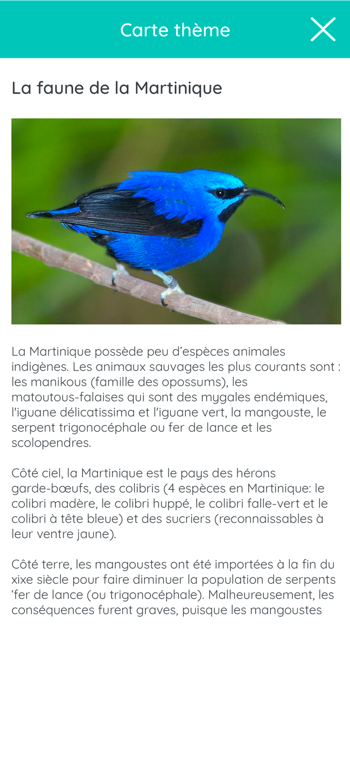 1001Lettres Martinique