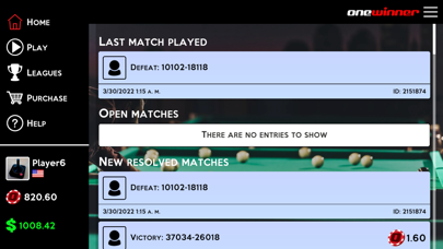 OneWinner's PoolStars Screenshot