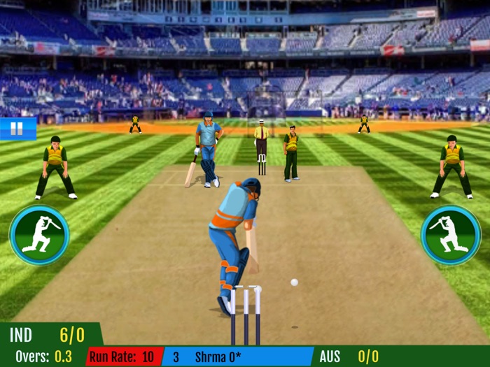 World Cricket Match Simulator