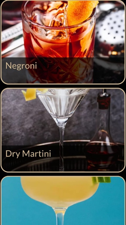 Cocktail Recipes Plus screenshot-6
