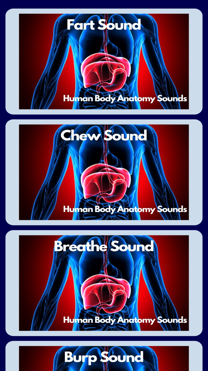 Human Body Anatomy Sounds