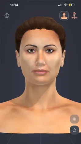 Game screenshot Chronic Migraine Anatomy mod apk