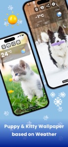 Weather Kitty - Cute Cat radar screenshot #10 for iPhone