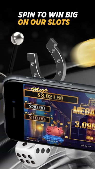 STN Play by Station Casinos Screenshot