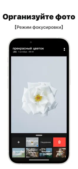 Game screenshot Picbook - Галерея hack