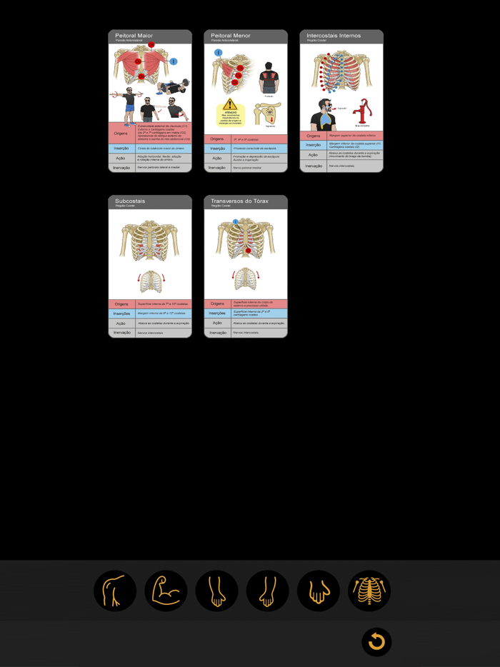 Anatomia Fácil na Palma da Mão