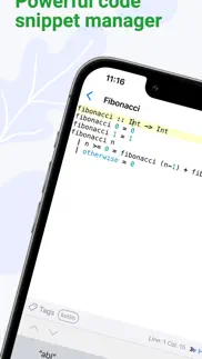 codelime - snippet dev tools iphone capturas de pantalla 1