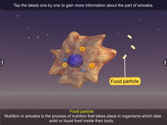 Screenshot #6 pour Nutrition in Amoeba