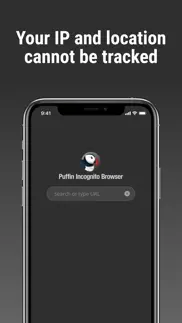 puffin incognito browser iphone screenshot 2