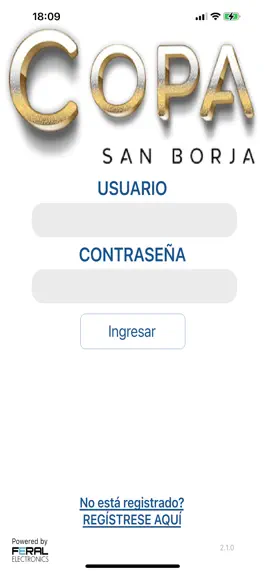 Game screenshot Copa San Borja mod apk