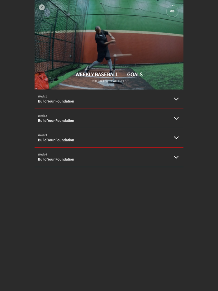 BACK 2 BASICS BASEBALL