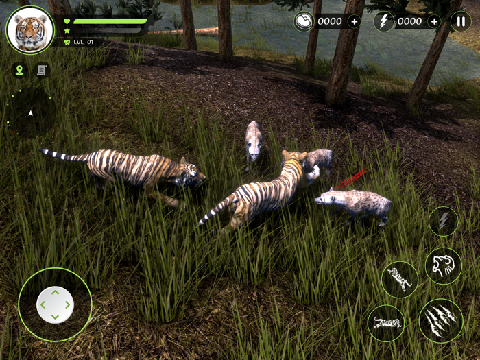 Wild Tiger Hunting Animal Life