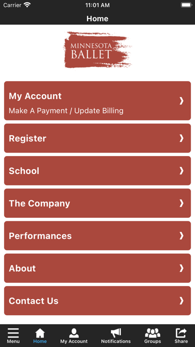 School of Minnesota Ballet Screenshot
