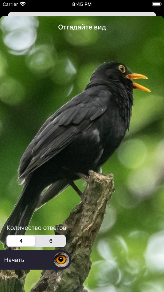 #5. Экогид - Голоса птиц (iOS) Bởi: Ecosystema