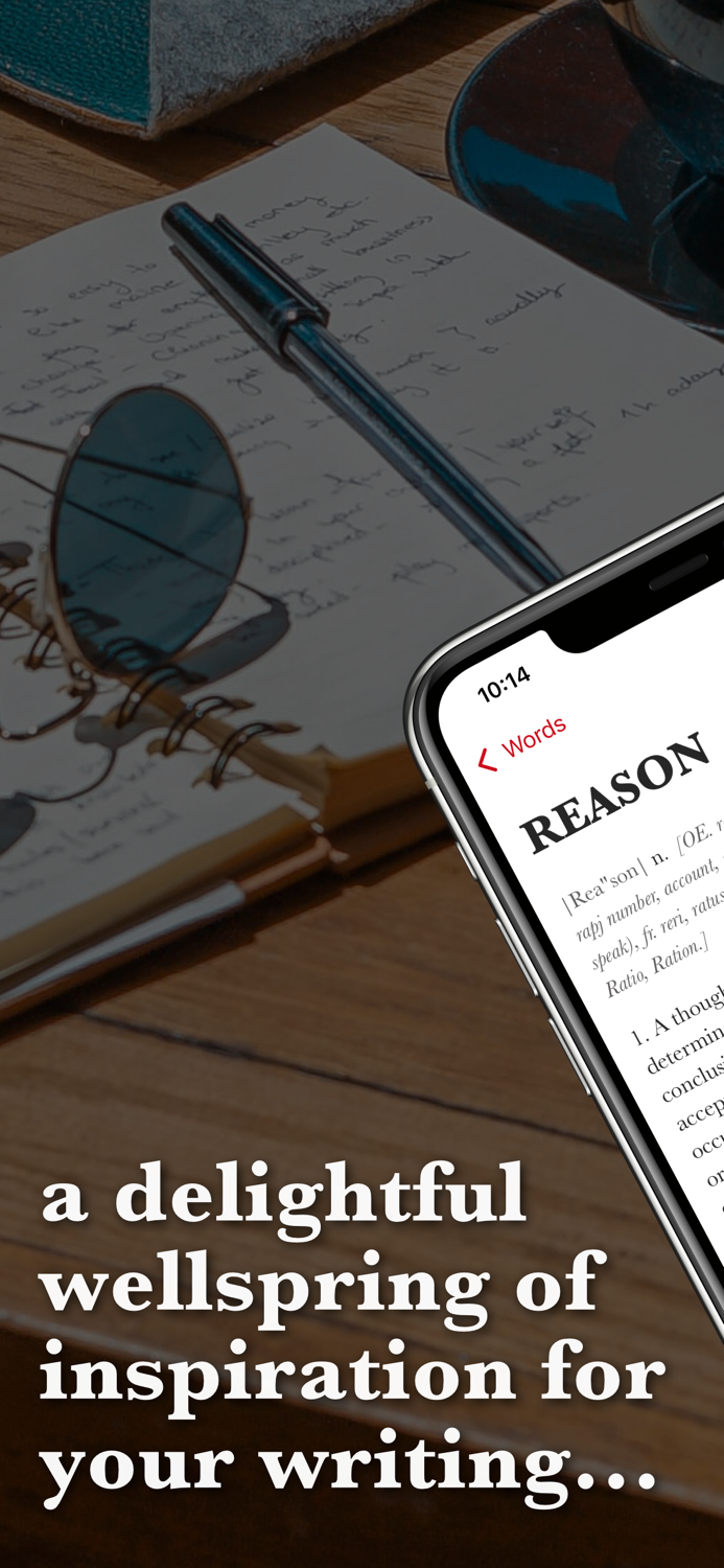 Websters Writers Dictionary