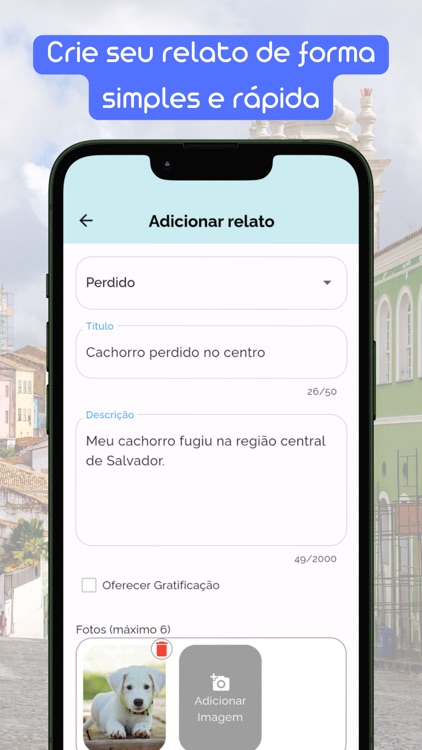 Perdeu Achou: Achados Perdidos