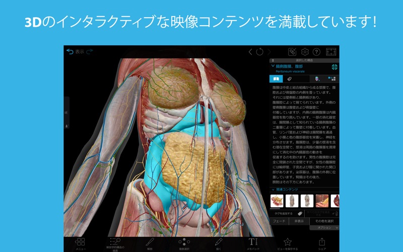 3Dヒューマン･アナトミー･アトラスエディション2025スクリーンショット