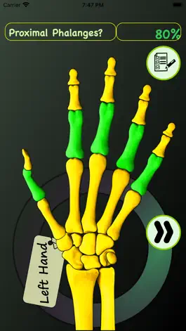 Game screenshot Hand Bones: Speed Anatomy Quiz hack