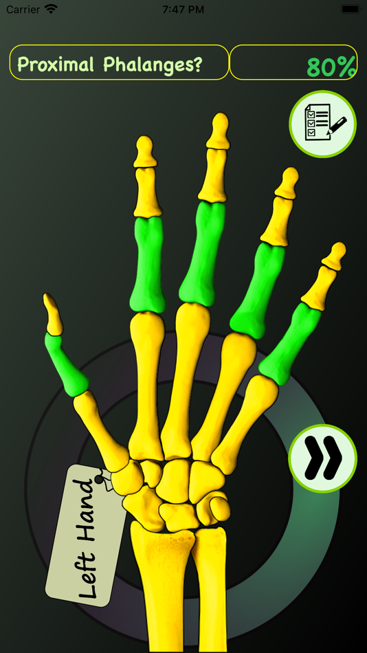 #3. Hand Bones: Speed Anatomy Quiz (iOS) 由: Krzysztof Gwiazda